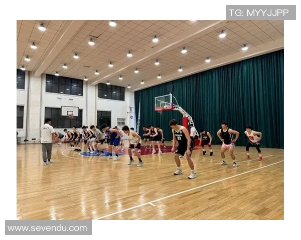 南京篮球队战术表现深度分析与数据解读之旅